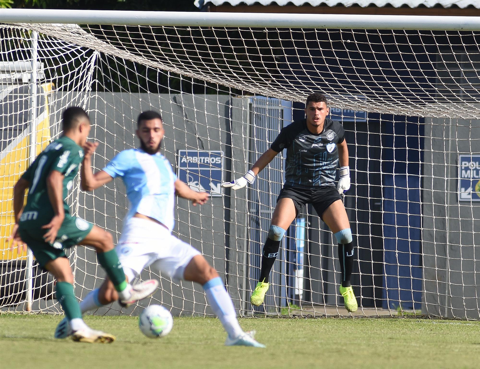 Palmeiras x Londrina: Informações e dados